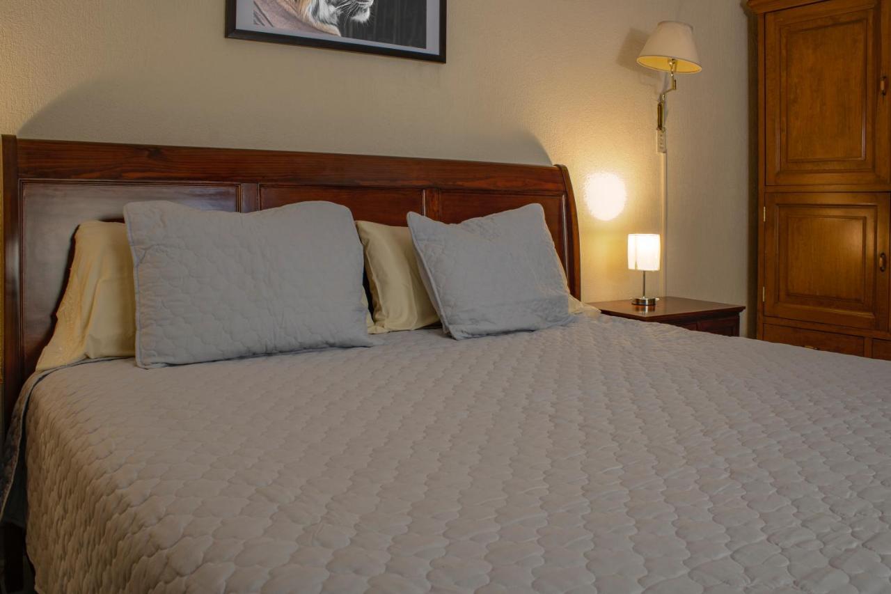 Hotel Gran Domo León de los Aldamas Extérieur photo